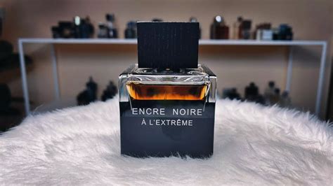 encre noire a l'extreme review.